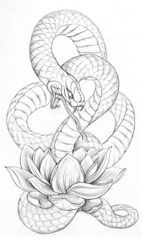 Realistic Snake Tattoo Drawing Ideas Petpress