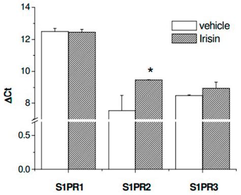 IJMS Free Full Text Irisin Is Target Of Sphingosine 1 Phosphate