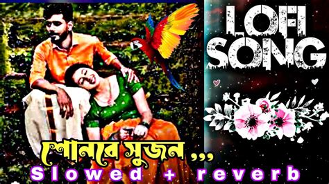 চদ ভব আগন নয খলস নর l sonre sujon slowed Reverb bangla