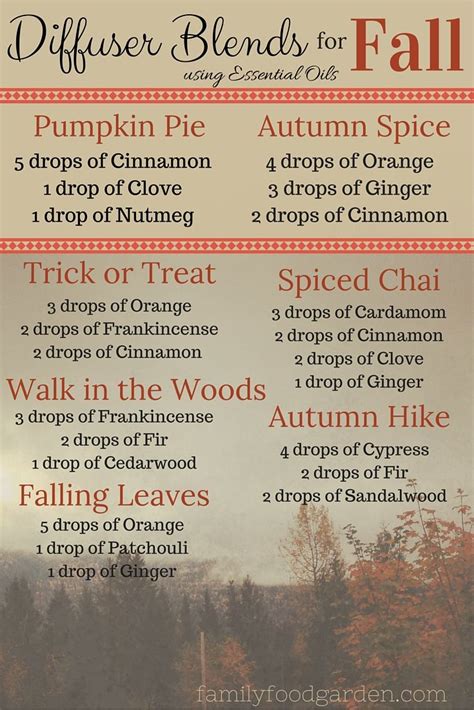 8 Essential Oil Diffuser Blends That Are Perfect For Fall Artofit