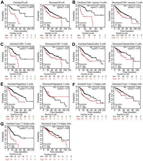 Znf Is A Hypomethylated Prognostic Biomarker Involved In Immune