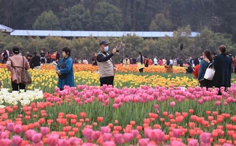 一年四季有花赏， 2023年湖南生态旅游节启幕！ 关注森林