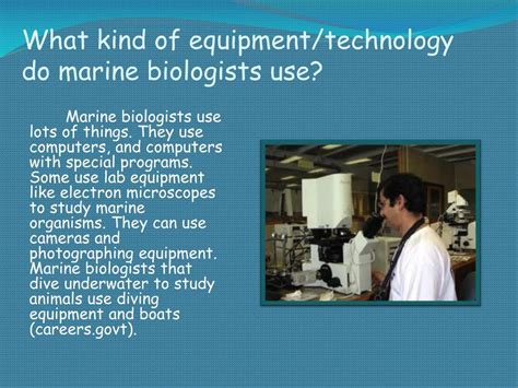 PPT - Marine Biologist PowerPoint Presentation, free download - ID:2828983