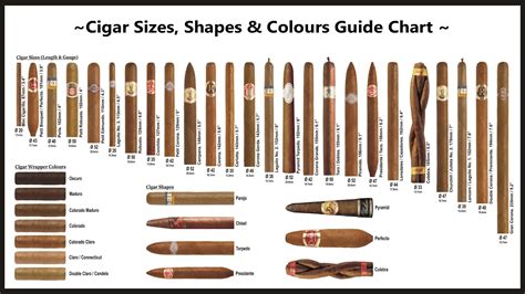 Why are There so Many Cigar Shapes? - The Cigar Store