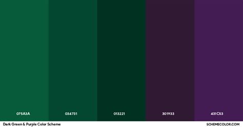 Dark Green & Purple Color Scheme - Palettes - SchemeColor.com