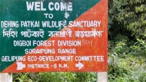 Assam wildlife sanctuary upgraded amid row | The Great Bengal Today