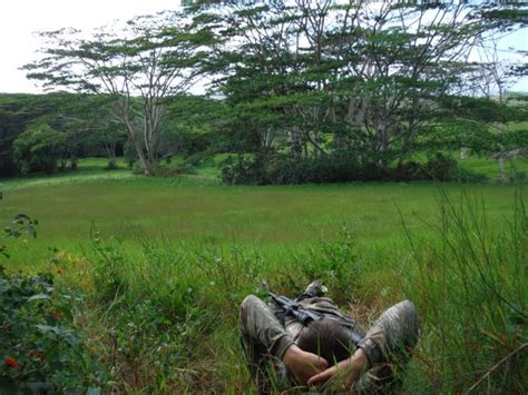 Hunt Hogs In Hawaii By Dog And Knife Bow Or Rifle