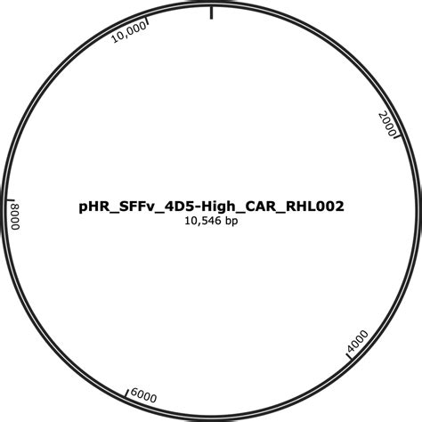 Addgene Phr Sffv D High Car Rhl