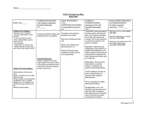 Acute Pain Nursing Care Plan