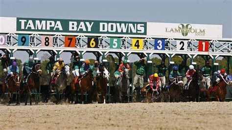 Wednesday Tampa Bay Downs Picks w/Horseguy