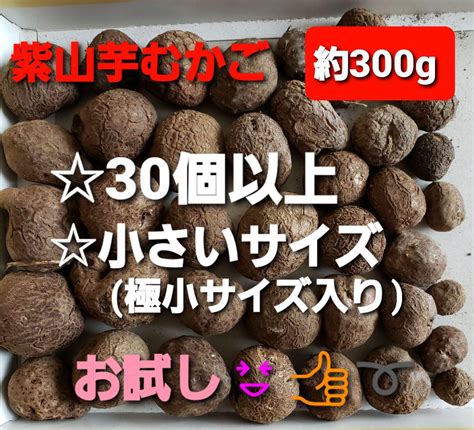 鹿児島県産 種用 紫山芋紫自然薯むかご 小 30個 以上300g By メルカリ