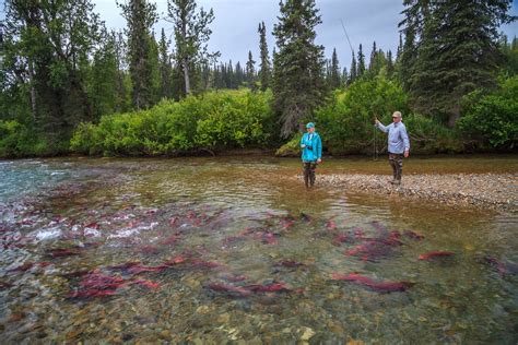 Ocean, River Luxury Fishing Tours Alaska | Entrée Destinations