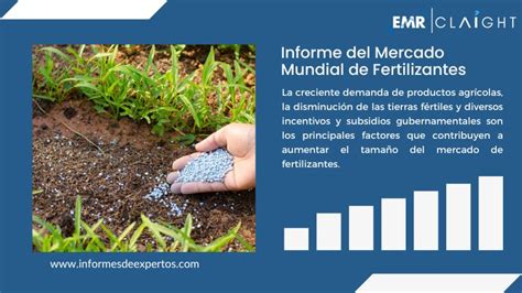 Mercado De Fertilizantes Crecimiento Informe