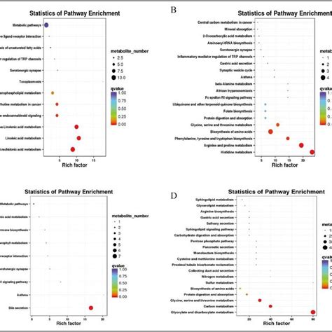 Functional Enrichment Analysis Of Differential Metabolites A