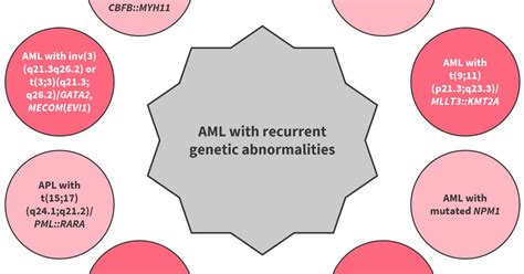 2022 Eln Recommendations For The Diagnosis Of Aml In Adults