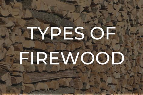 Types of Wood – Roaring Firewood