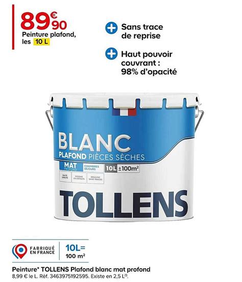 Promo Peinture Tollens Plafond Blanc Mat Profond Chez Castorama