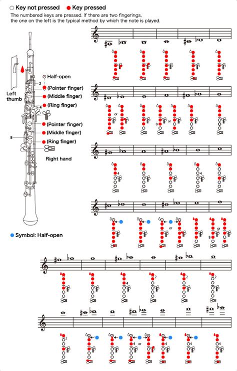 ᐈ Oboe【guía Práctica】historia Partes Cómo Tocar Mantenimiento Y Más