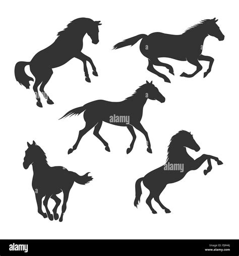 Beautiful Horse Silhouette Vector Graphic Design Template Set Stock