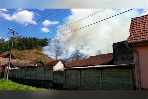 Incendiu de pădurea la Câlnic în marginea Reșiței cu pericol de