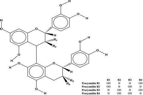 The Chemical Structure Of Common Oligomers Of B Type Procyanidins