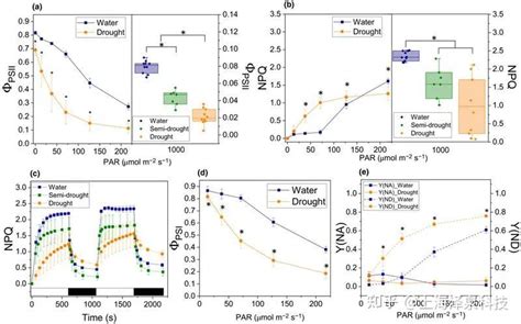 New Phytologist：干旱胁迫对拟南芥的两个光系统都有影响 知乎