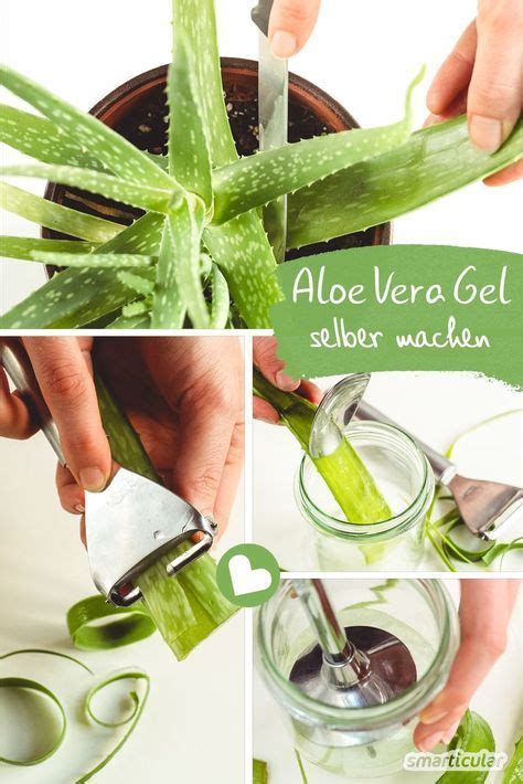 Aloe Vera Skin Care Artofit