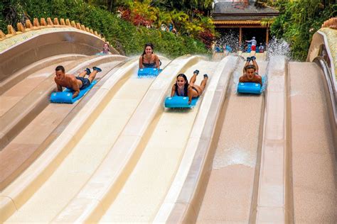 Tenerife Biglietti D Ingresso Per Il Siam Park Getyourguide