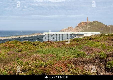 Stolt Sea Farm A Land Based Fish Farm At Cabo Vilan Camarinas