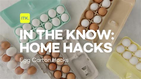 Put empty egg cartons to use with these helpful hacks