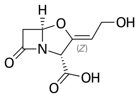 Buy Potassium Clavulanate 61177 45 5 From Now │leapchem Chemical Supply