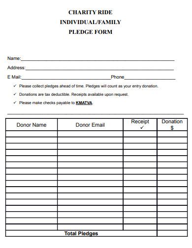 10 Charity Pledge Form Templates In Pdf Doc Free And Premium Templates