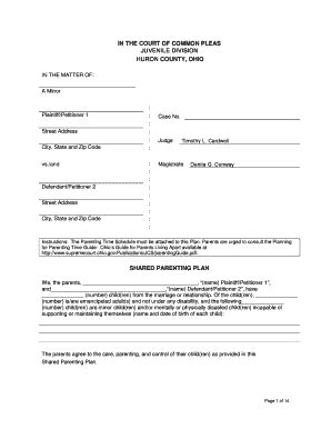 Fillable Online Plaintiff Petitioner Fax Email Print Pdffiller