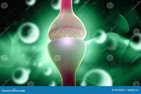 Chemical Synapse Stock Illustration Illustration Of Neuron 39456681