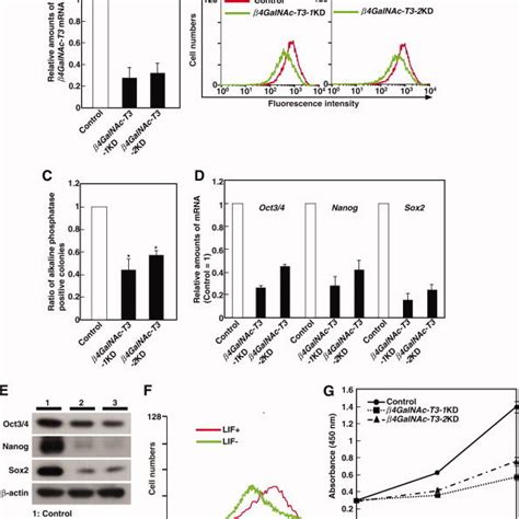 LacdiNAc On Leukemia Inhibitory Factor Receptor LIFR And Gp130