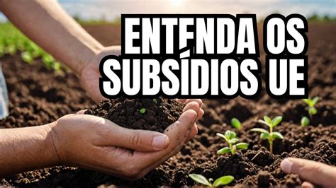 O Que São Subsídios - 🌾💰 O Que São Subsídios Agrícolas? Entenda Seus Impactos! 💰🌾 - YouTube