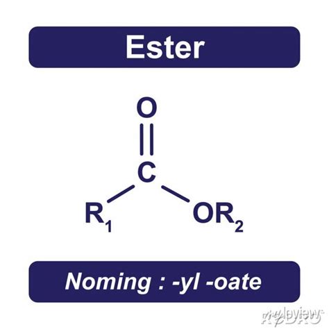 Ester group chemical structure. vector illustration. posters for the wall • posters white ...