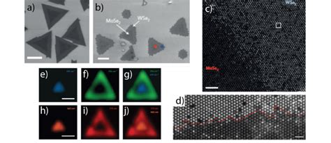 A And B Sem Image Of Mose 2 Wse 2 Monolayer Heterojunctions Grown By