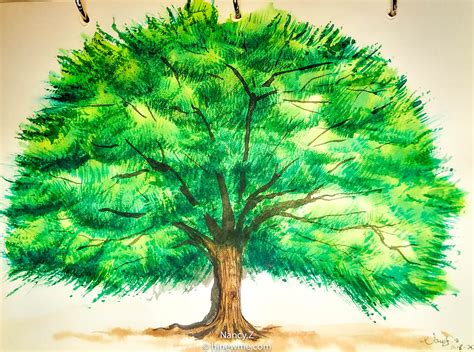 Painting Watercolor Tree In Nature Forest How To Draw A Treeoutdoors