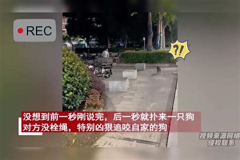 小伙特意挑凌晨出门遛狗，前一秒刚说没小孩老人，后一秒惨遭追咬