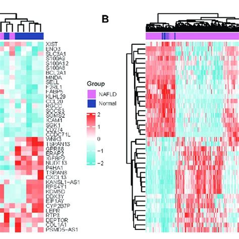 Differentially Expressed Genes Heatmaps A Heat Map Of Degs In