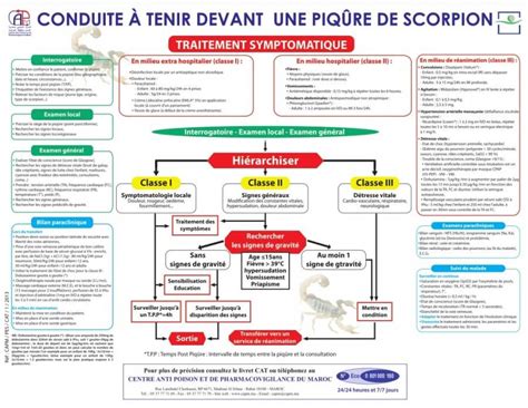 Attention Conduite Tenir En Face Dune Morsure De Scorpion Sch Ma