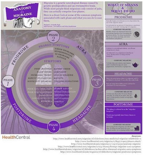 Anatomy Of A Migraine - Anatomy Book