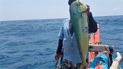 Uma Pescaria Muito Boa Com Muitas Espécies De Peixes Graças A Deus 👍🙏🐠🐠