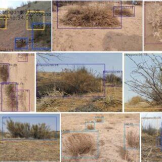 The Object Detection Results Of The Proposed Method For Sandy