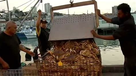 Bay Area crab season begins after delay; you can now buy crab straight from the boat on San ...