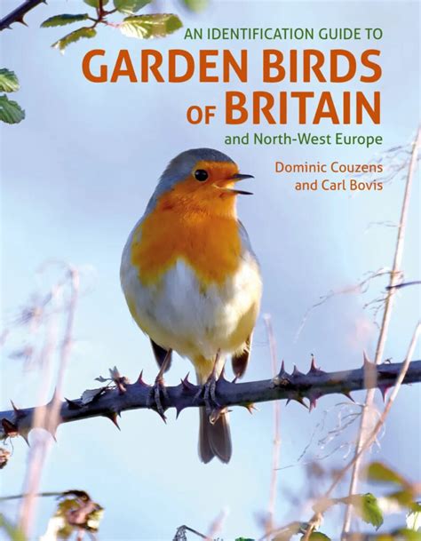 Author Interview An Identification Guide To Garden Birds Of Britain