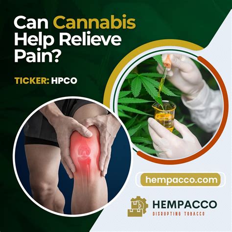 Can Cannabis Help Relieve Pain Hempacco Inc