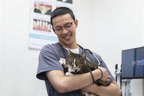 Expert Packing and Shipping Solutions in North Chesterfield, Virginia 23