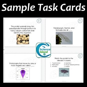 Protists Task Cards Activity Science Island